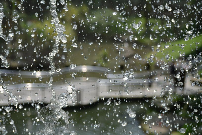 Waterdruppels in KL Bird Park van Minimalistiche reisfotografie by.Rieneke