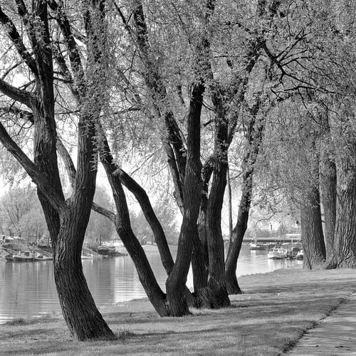 Typique de Dordt Wantijbrug