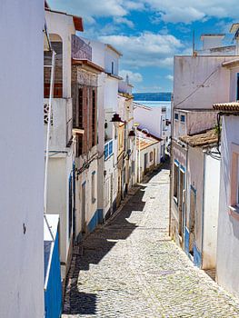 The Road To The Ocean