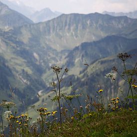 Alpenpanorama mit Wiese von Erich Werner