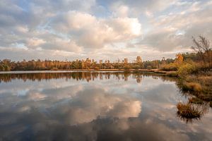 Magnifiques couleurs d'automne au bord d'un lac dans les landes sur John van de Gazelle