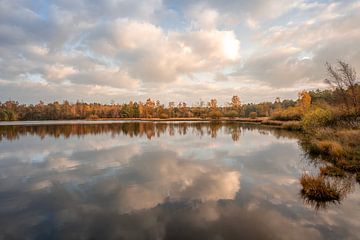 Prachtige herfstkleuren bij een meer op de heide van John van de Gazelle fotografie