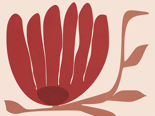 Bloem van Mars - Rood