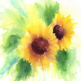 Two Sunflowers Watercolour by Karen Kaspar