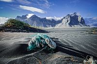 Dauw in de buurt van Stokksnes