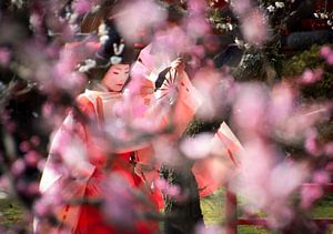 Hübsche, heitere Dame vollzieht Blumenritual in Japan von Francisca Snel