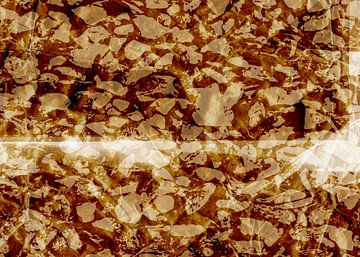 Wabi-sabi botanisch abstract in warm bruin. van Dina Dankers