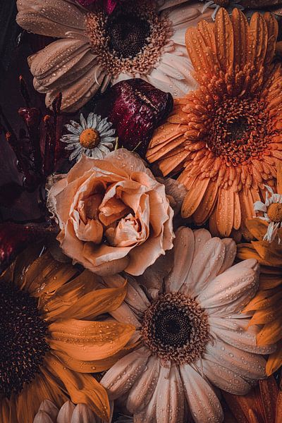 Still life Gerbera by Lisa Scheffler