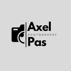 Axel Pas profielfoto