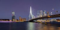 Rotterdam bei Nacht - Erasmusbrücke von Marion Raaijmakers Miniaturansicht