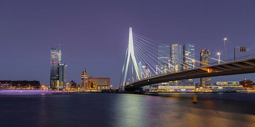 Rotterdam bei Nacht - Erasmusbrücke