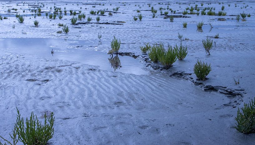 Strand von Le Vivier sur Mer von Sebastian Stef