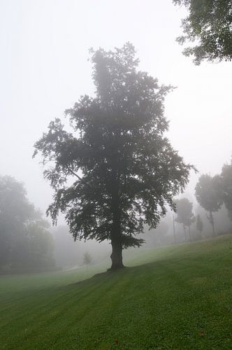 Misty morning in Durbuy, Belgium