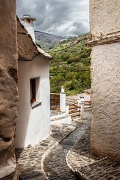 Straatje in het witte Moorse dorpje Pampaneira in Andalusie van Jos van den berg