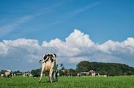 Eenigenburg II van jan van de ven thumbnail