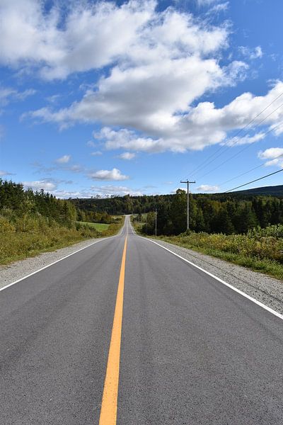 A country road in summer by Claude Laprise