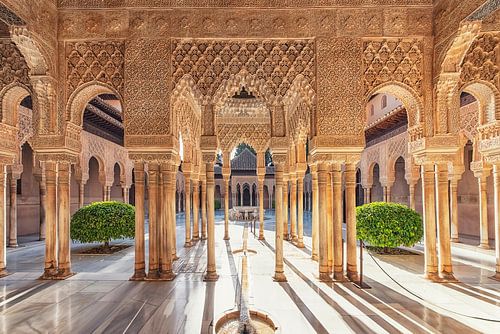 The Alhambra of Granada