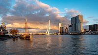 Skyline Rotterdam von 24 liquidmedia Miniaturansicht