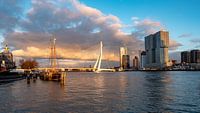 Skyline Rotterdam