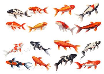 Set of koi isolated on white background, detail by Animaflora PicsStock