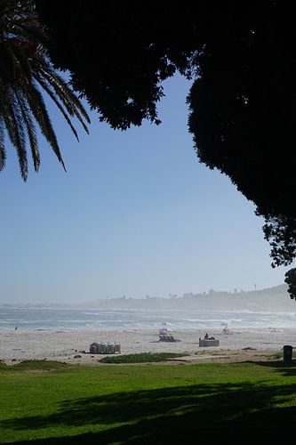 Morning mood on the beach