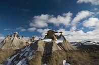 Bisti Badlands in de winter New Mexico, USA van Frank Fichtmüller thumbnail