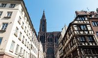 Cathédrale Notre Dame de Strasbourg van Richard Wareham thumbnail