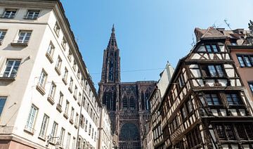 Cathédrale Notre Dame de Strasbourg van Richard Wareham