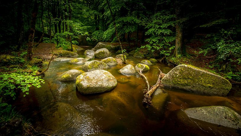 Nature by Gerard Notenboom