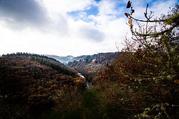 Herfst Rivierdal Onder Dramatische Lucht van DiJa Photography