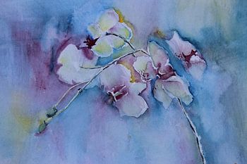 Verträumte Orchideen