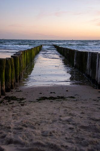Breakwaters at Zoutelande