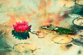 Grenouille verte et nénuphar