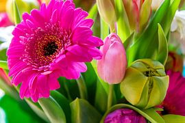 Gerbera und Tulpen von Studio Bosgra