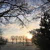 Sonnenaufgang an einem niederländischen Wintertag von Sandra van der Burg