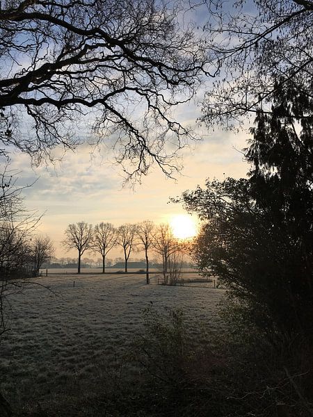 Lever du soleil sur un jour d'hiver néerlandais par Sandra van der Burg