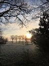 Sonnenaufgang an einem niederländischen Wintertag von Sandra van der Burg Miniaturansicht