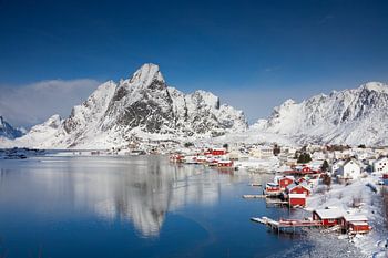 Reine Winter