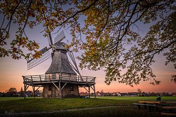 Levern windmolen van Marita Autering