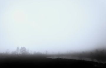 Nebel im Moor