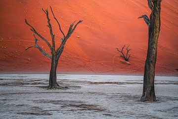 Ingesloten door machtige duinen. van Loris Photography