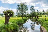De Geul bij de Volmolen in Epen by Herman Coumans thumbnail