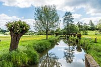 De Geul bij de Volmolen in Epen