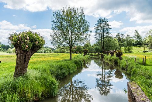 De Geul bij de Volmolen in Epen
