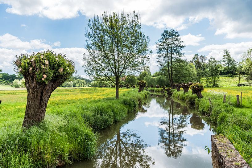De Geul bij de Volmolen in Epen by Herman Coumans
