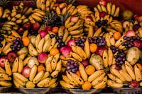 Fruit