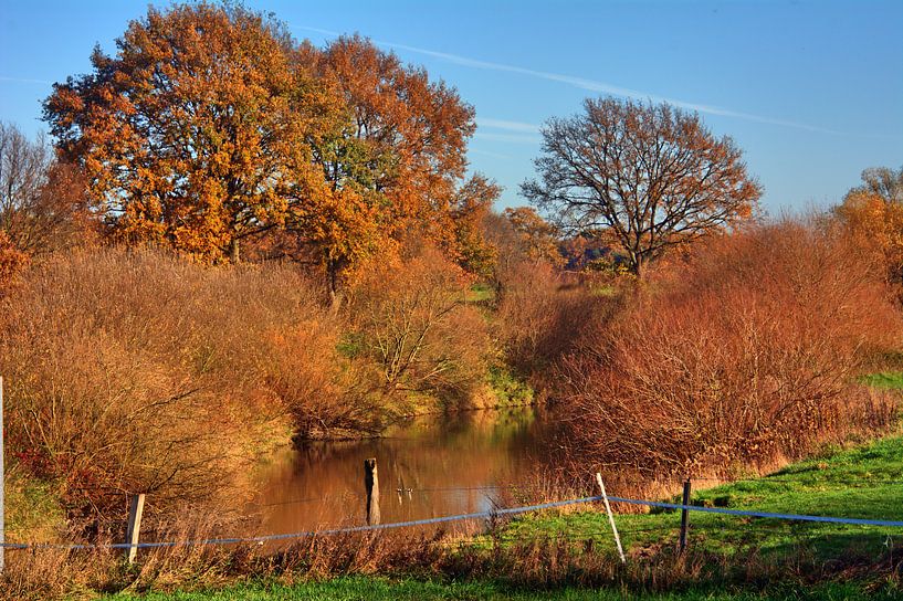 Lippeaue 1 par Edgar Schermaul