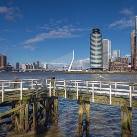 Erasmusbrug en de Kop van Zuid Rotterdam by René Brand