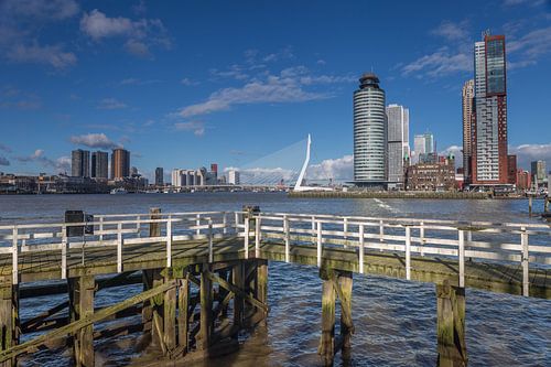 Erasmusbrug en de Kop van Zuid Rotterdam