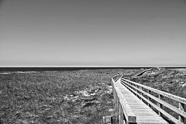 promenade entre les dunes sur Norbert Sülzner